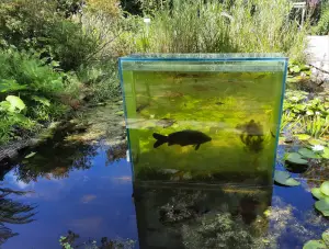 Allet 04 Kees de Karper